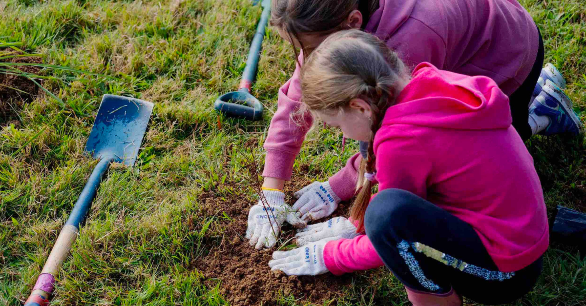 A New Partnership With Trees For Survival - Gallagher Insurance Nz